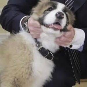 Meet your Posher, Valery